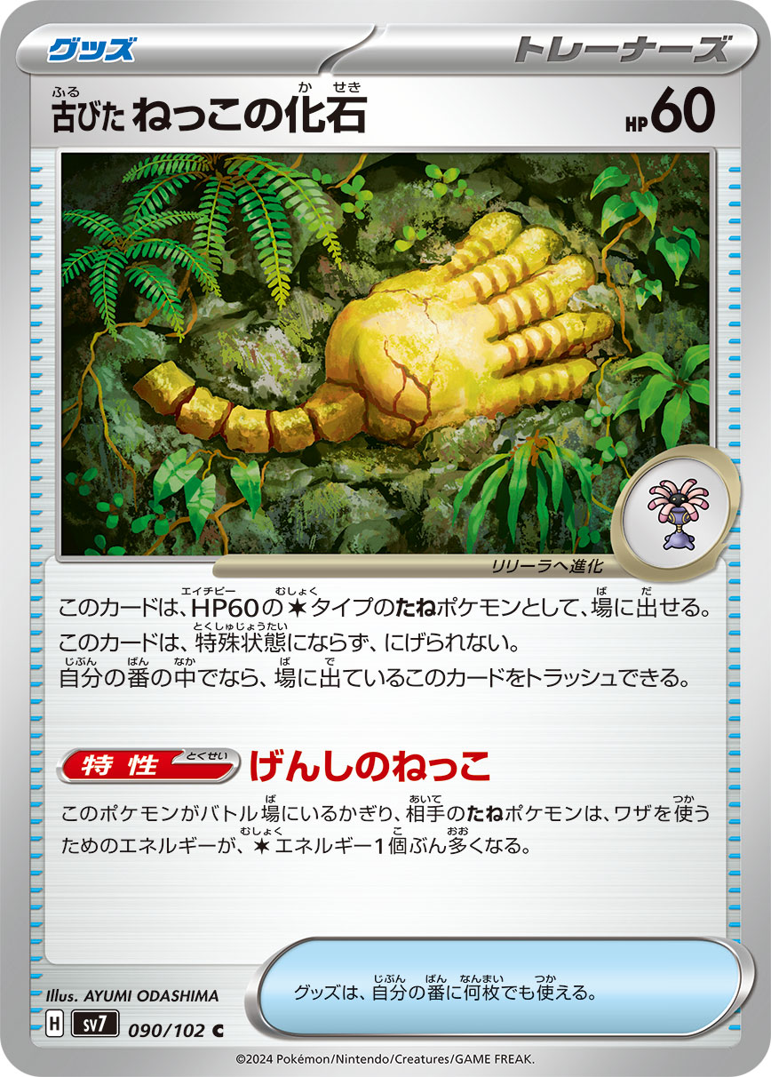 Ancient Root Fossil