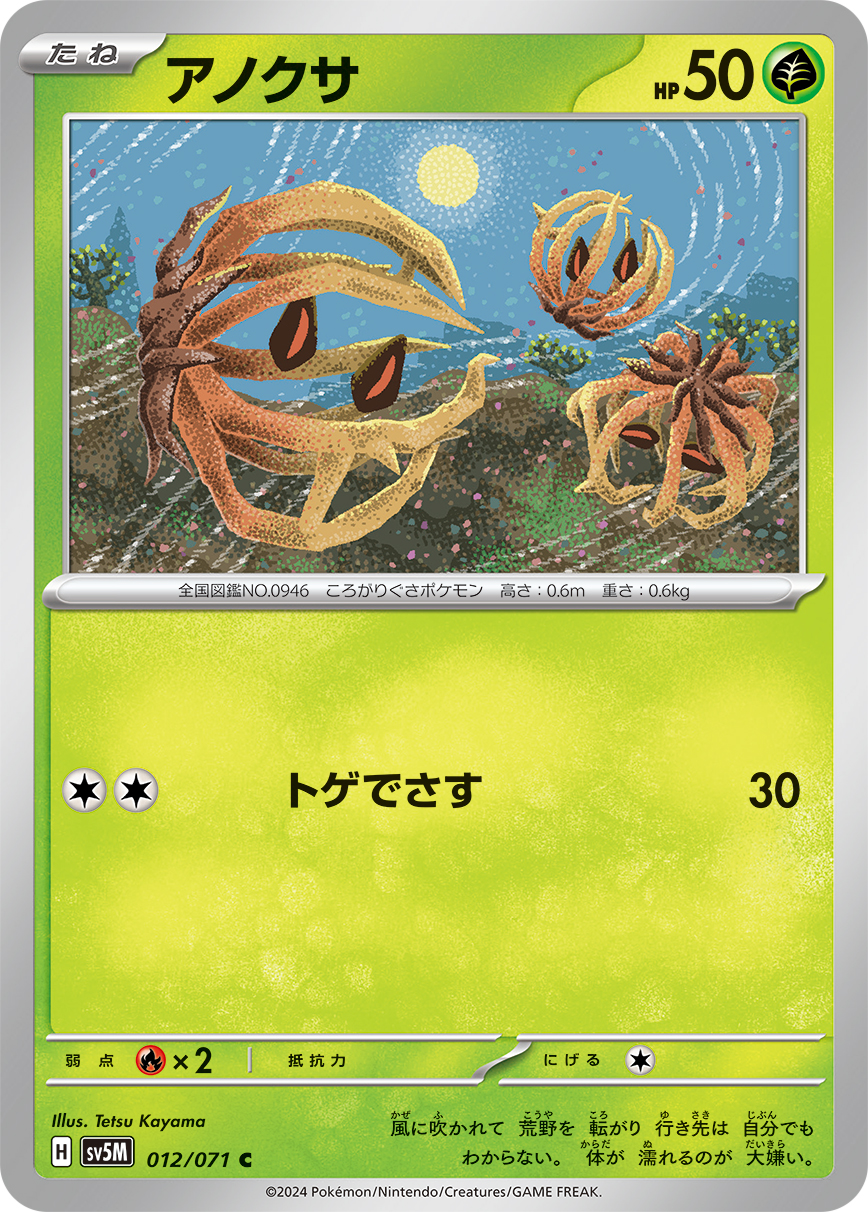 Anokusa
